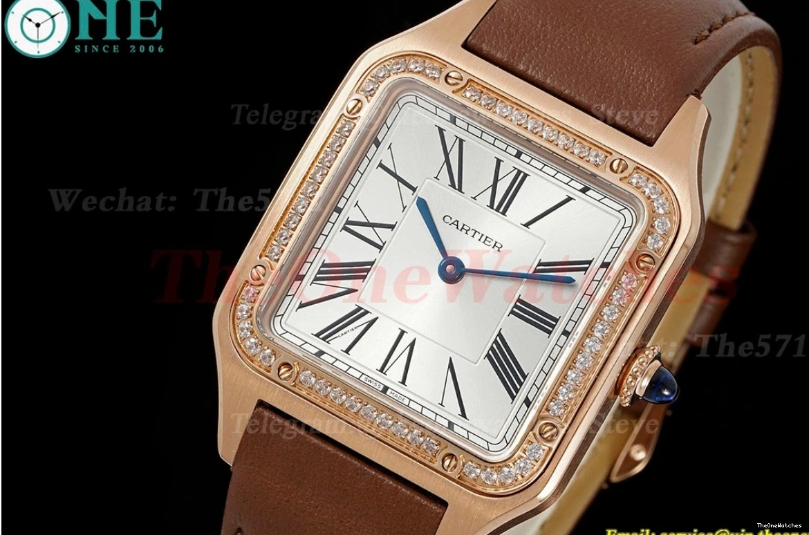 Dumont Dial Silver Brown Santos Quartz LE RG AF Dia 0313